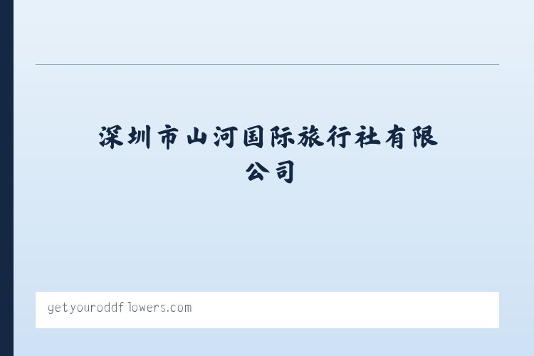 深圳市山河国际旅行社有限公司 列表图