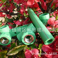马拉松f区到起跑线一般多久