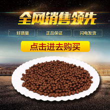 比亚迪半年报出炉：二季度核心指标逆势创新高
