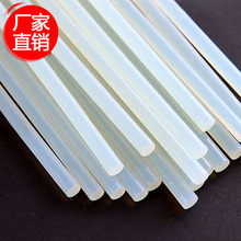 排球教练