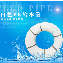 曲棍球比赛图片