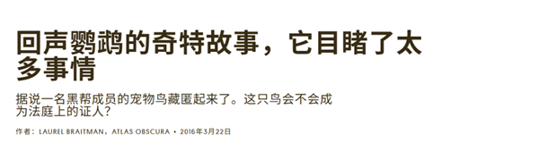 539.4元 米家高速水离子吹风机Pro上架：成人50℃、儿童40℃恒温吹护