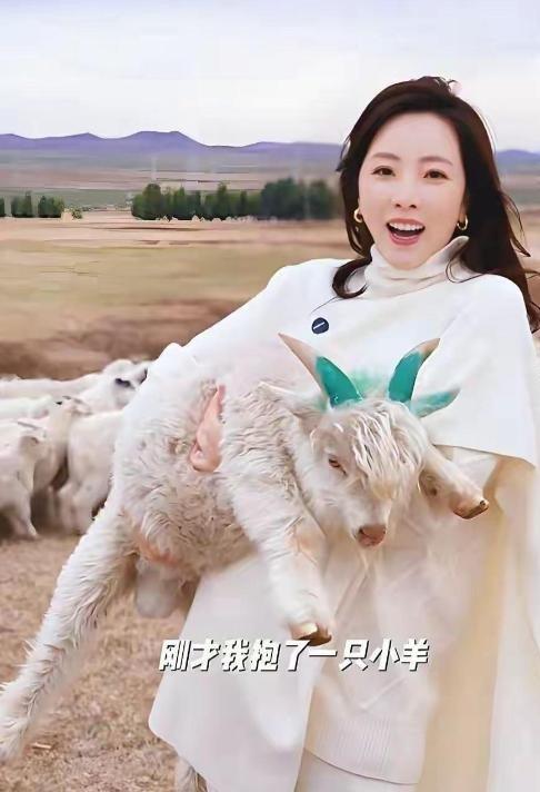 六神花露水焕新包装被指用印钞专用纸 律师:未使用人民币图样不违规